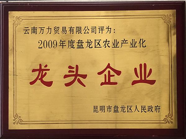 萬(wàn)力貿(mào)易榮獲2009年度龍區(qū)農(nóng)業(yè)產(chǎn)業(yè)化龍頭企業(yè)